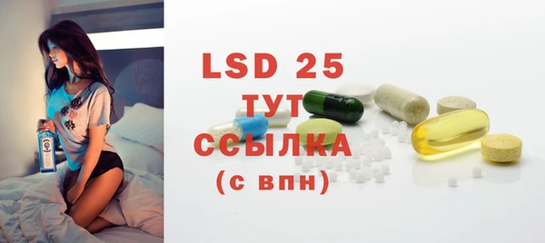 mdpv Бородино