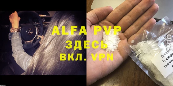 индика Верхний Тагил